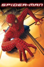 Nonton Film Spider-Man (2002) Sub Indo