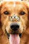 Nonton Film A Dog’s Purpose (2017) Sub Indo