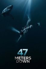 Nonton Film 47 Meters Down (2017) Sub Indo