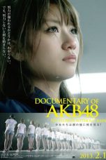 Nonton Film Documentary Of AKB48 : No Flower Without Rain (2013) Sub Indo