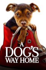 Nonton Film A Dog’s Way Home (2019) Sub Indo