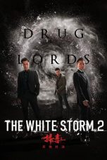 Nonton Film The White Storm 2: Drug Lords (2019) Sub Indo