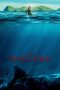 Nonton Film The Shallows (2016) Sub Indo