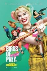 Nonton Film Birds of Prey (and the Fantabulous Emancipation of One Harley Quinn) (2020) Sub Indo