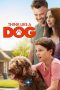 Nonton Film Think Like a Dog (2020) Sub Indo