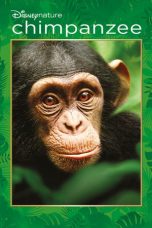 Nonton Film Chimpanzee (2012) Sub Indo