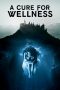 Nonton Film A Cure for Wellness (2016) Sub Indo