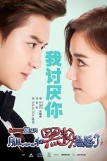 Nonton Film So I Married an Anti-Fan (2016) Sub Indo