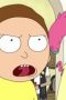 Nonton Film Rick and Morty Season 1 Episode 11 Sub Indo