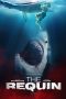 Nonton Film The Requin (2022) Sub Indo