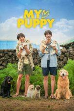 Nonton Film My Heart Puppy (2023) Sub Indo