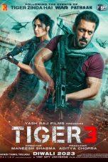 Nonton Film Tiger 3 (2023) Sub Indo