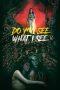 Nonton Film Do You See What I See (2024) Sub Indo